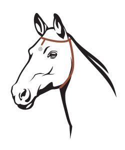 Médaille tic-clip - Cheval, 1 pièce